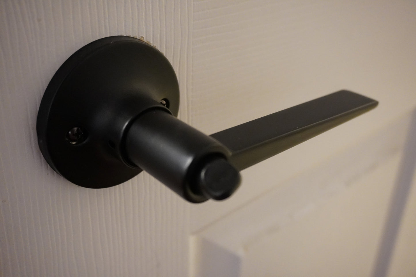 Matte Black Modern Privacy Lever